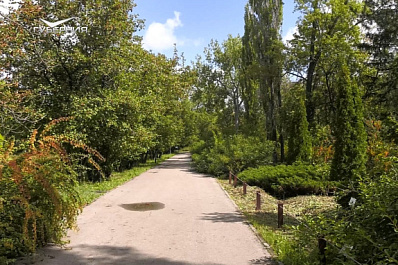 Стало известно, как в Самарской области борются за сохранение краснокнижных видов растений и животных