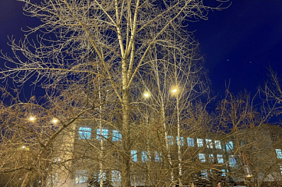 МЧС разрешило использовать решётки на школьных окнах