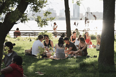 Врач рассказал, что нужно обязательно взять с собой на пикник