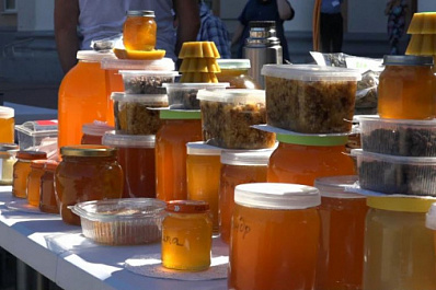 Пчеловоды региона показали разные виды меда на "Ярмарке вкусов" в Новокуйбышевске