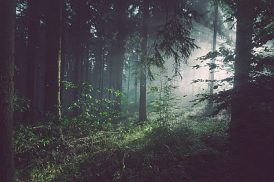 С 1 по 20 апреля в Самарской области ввели особый противопожарный режим