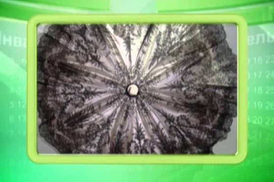 Календарь Губернии 4.05.2014