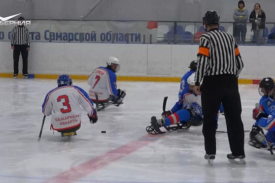 Адаптивные виды искусства и спорта. Неограниченные возможности