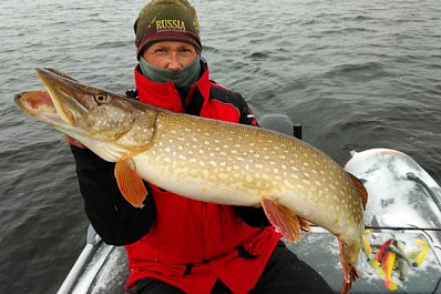 Тянула ко дну: рыбак из Тольятти вытащил из Волги гигантскую щуку