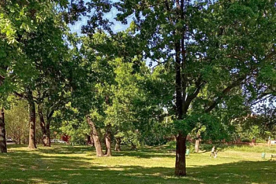 Жигулевск подготовил еще один проект для участия во всероссийском конкурсе благоустройства 