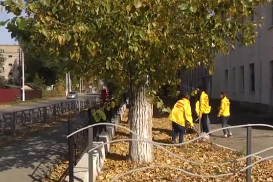 Добровольческий отряд "Поzитив". Народное признание