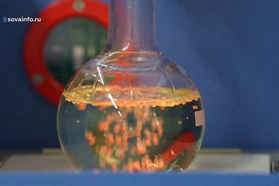 Мир биотоплива. Эксперименты Платоновой