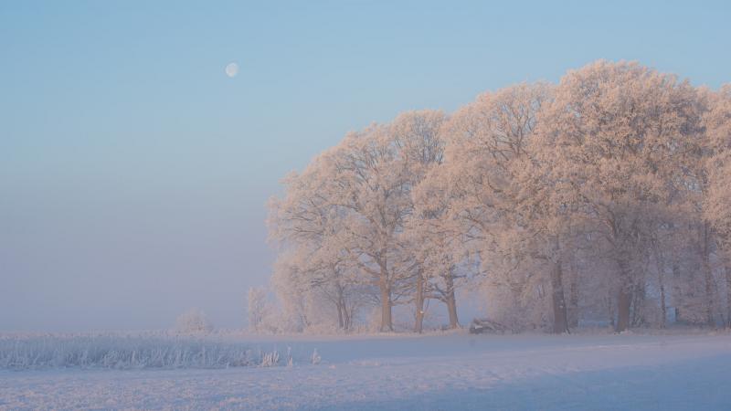 В Самарской области 24 января будет морозно и безветренно
