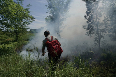 Молодая пара из Самары не дала распространиться лесному пожару