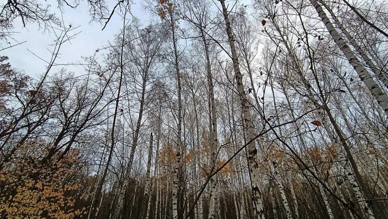 Народные приметы на 1 ноября 2025 года: что нельзя делать в этот день