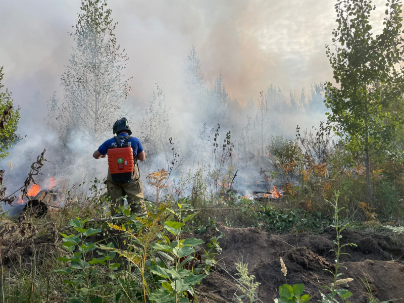 "Задача - не дать распространиться огню за ночь": Дмитрий Азаров о пожаре в тольяттинском лесу
