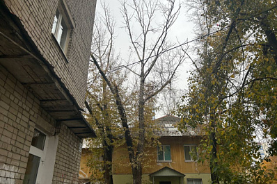 Самарцы пожаловались на аварийное дерево, ветки которого едва не пробили припаркованные авто