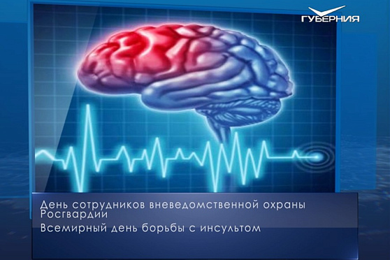 Всемирный день борьбы с инсультом. Календарь губернии от 29 октября