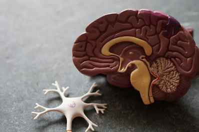 Невролог назвала восемь правил профилактики когнитивных нарушений