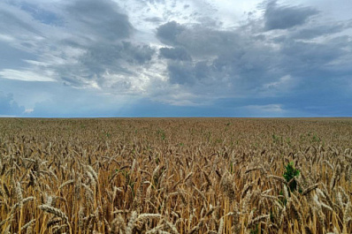 В Самарской области после 11 августа похолодает