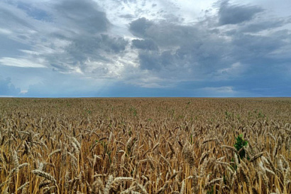 Название статьи