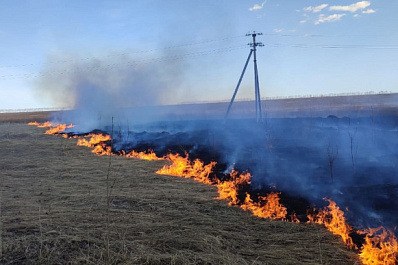 В Самарской области в один день несколько раз тушили сухую траву
