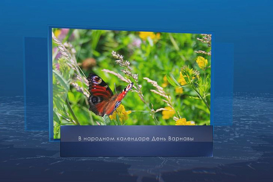 День Варнавы. Календарь губернии от 24 июня