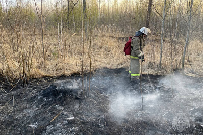 Режим чрезвычайной пожарной опасности лесов в Самарской области продлили до 29 мая