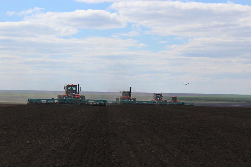 Союз тружеников: сельхозпроизводители Самарской области открыли очередной агросезон