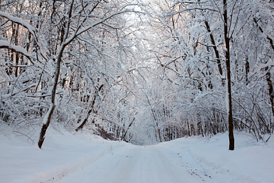 Морозы до -32 °С и снегопад обрушатся на Самарскую область в ближайшее время