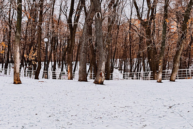 Синоптики рассказали, какая погода будет в марте в Самарской области