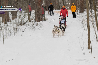 В Самарской области для людей с ОВЗ проводят туристические выезды в деревню ездовых собак