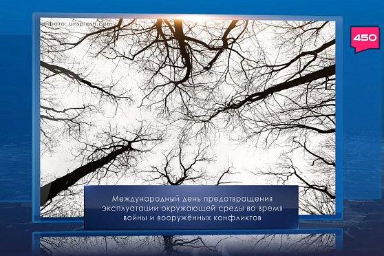 День предотвращения эксплуатации окружающей среды во время войны. Календарь Губернии от 6 ноября