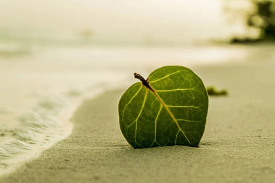 В Самаре с берегов Коровьего острова волонтёры вывезли полтонны мусора