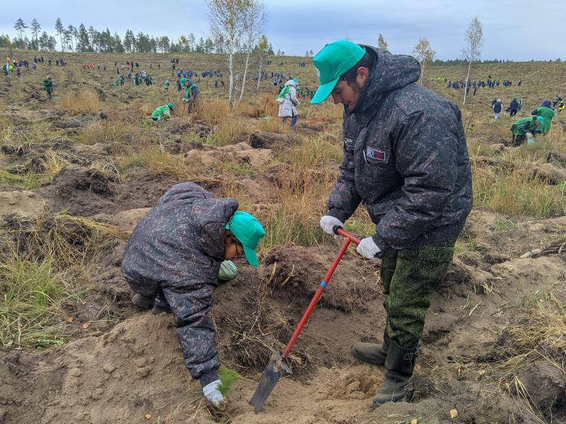 В Самарской области во время акции "Сохраним лес" посадили 28 тысяч юных сосенок