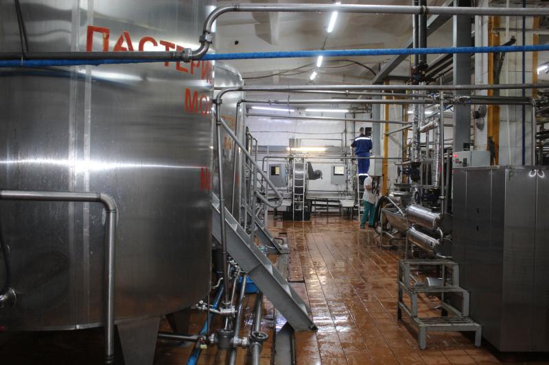 Как делают "молочку" в Красном Яре: репортаж с завода, который перерабатывает до 50 тонн сырья в сутки