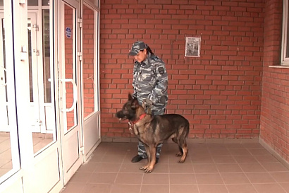 Название статьи