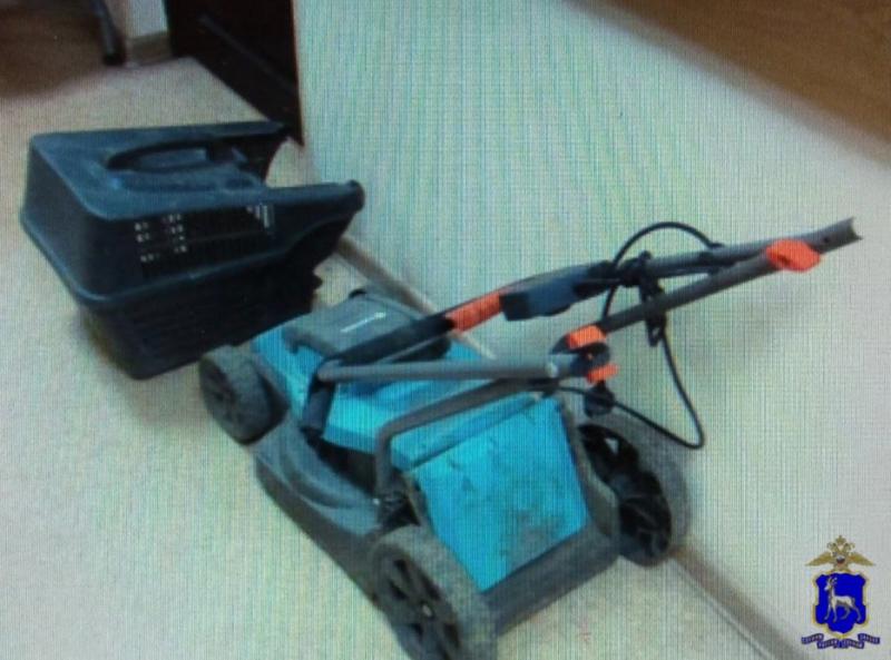 В Самарской области двое мужчин украли у пенсионерки газонокосилку за 45 тысяч рублей 