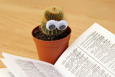 В России не планируют переносить ЕГЭ-2021 