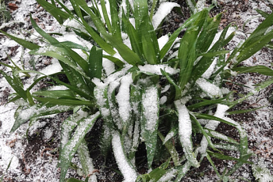 Стало известно, когда может пойти первый снег в Самарской области