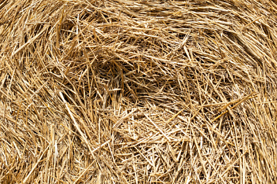 Народные приметы на 16 августа 2025 года: что нельзя делать в этот день