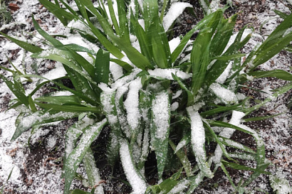 Название статьи