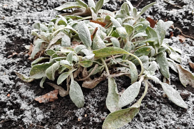 Снежно и прохладно: погода в Самарской области 22 апреля