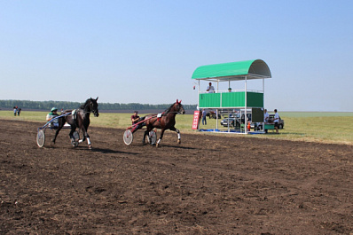 В Камышлинском районе провели Сабантуй