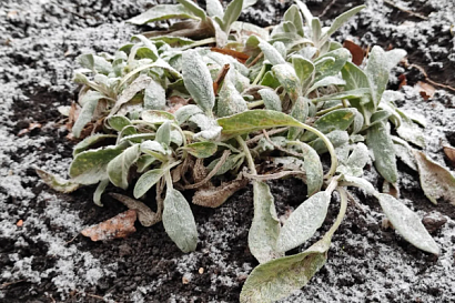 Название статьи