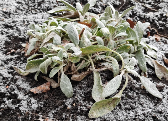 Название статьи