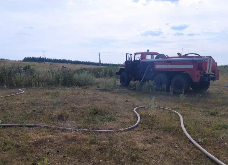 В Самарской области высокая пожароопасность лесов сохранится до 21 апреля