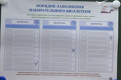 В Самарской области без происшествий открылись избирательные участки