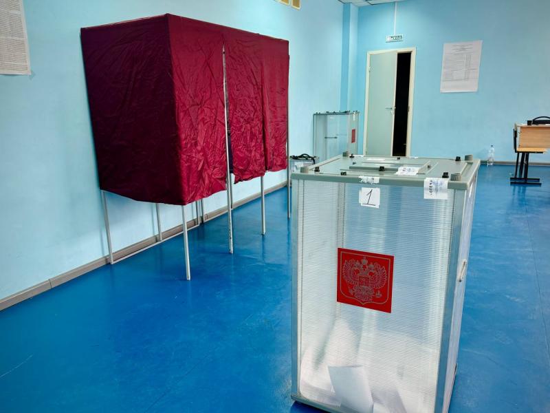 В Госдуме предлагают альтернативу электронному голосованию