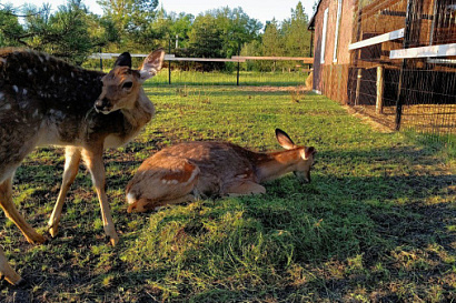 Название статьи