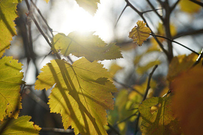 Название статьи