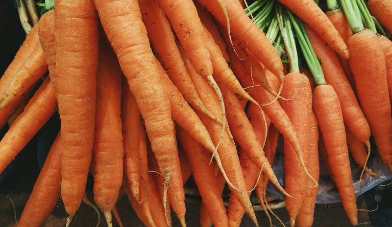 Эксперты рассказали про пользу моркови