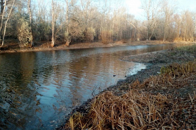 В Новокуйбышевске может появиться новая зона отдыха