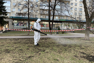 Скверы Самары начали обрабатывать от клещей и грызунов