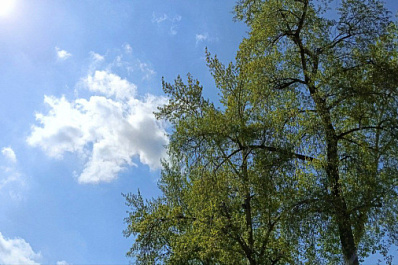 Народные приметы на 13 мая 2025 года: что нельзя делать в этот день